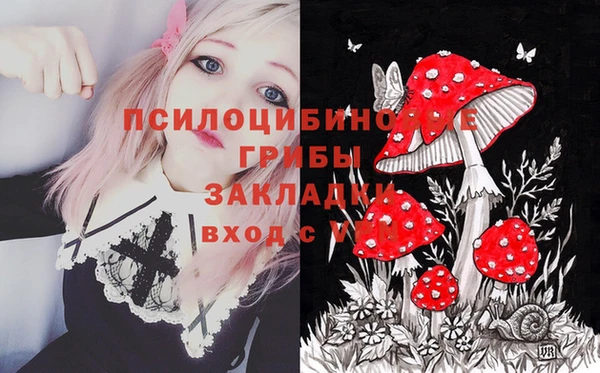 герыч Горняк