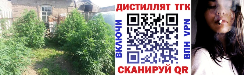 ТГК концентрат  Ермолино 