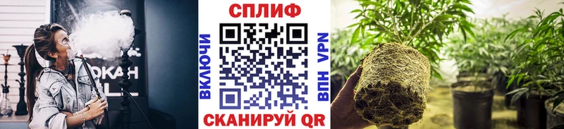 Бошки Шишки SATIVA & INDICA  Ермолино 